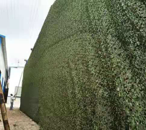 �p�ͷ��ನ�΂ɲ���b�W(w��ng)